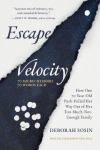Sosin - Escape Velocity book cover
